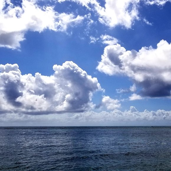 Meet your Posher, Erika - Picture 6 of 6